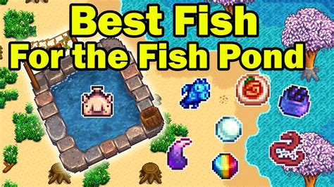 best fish for pond stardew valley